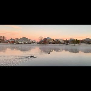 Meet your Posher, Cathy